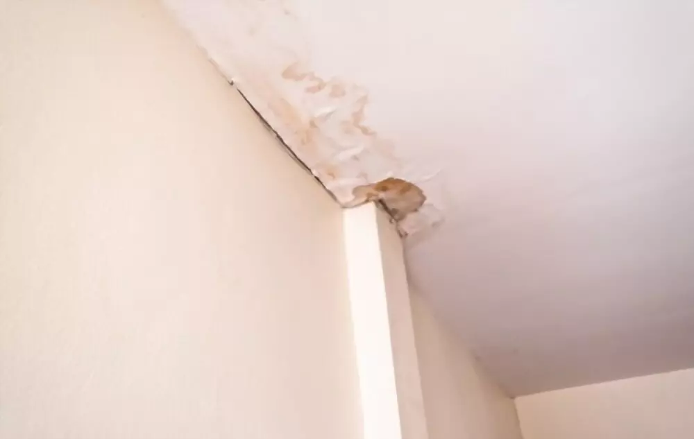 Cara Mengatasi Rumah Bocor dan Rembes tanpa Tukang