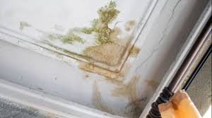 Cara Mengatasi Rumah Bocor dan Rembes tanpa Tukang